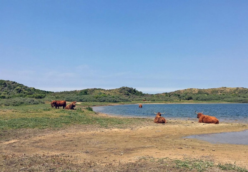 Hotel De Weyman Main image